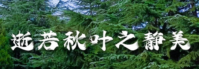 西安壽陽山公墓怎么樣