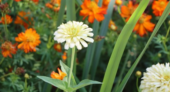 西安墓園價格表_西安公墓哪里的好