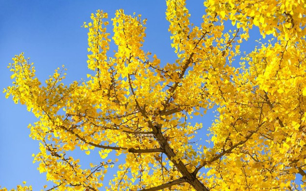 西安霸陵新區(qū)公墓價(jià)格-霸陵新區(qū)的墓地怎么樣？-霸陵墓園