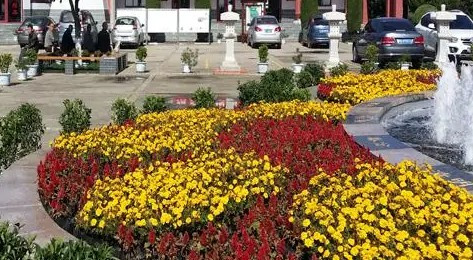 西安墓園哪里有樹葬-西安墓園哪里可以進行樹葬？