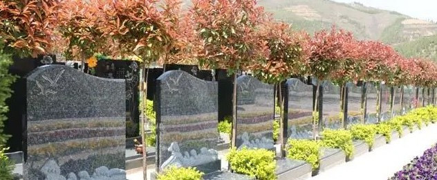 西安霸陵墓園新區有哪些服務項目