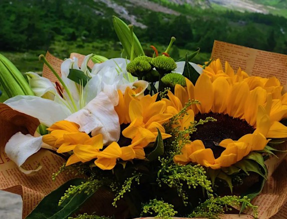 西安墓地鳳棲山,西安鳳棲山墓園的詳細(xì)信息與特色