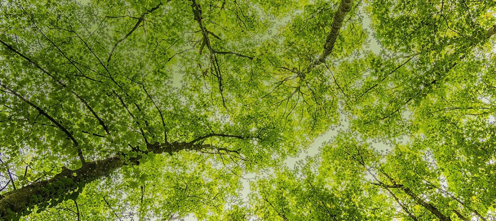 西安曲江是什么公墓地址-慈恩園骨灰堂