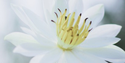 西安壽陽山墓園下葬時間-西安壽陽山墓園下葬時間靜謐舒適環(huán)境