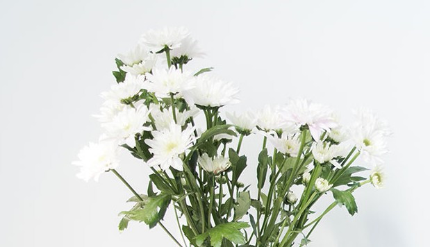 西安市霸陵新區陵園位置地址、電話-鳳棲山墓園南區管理處